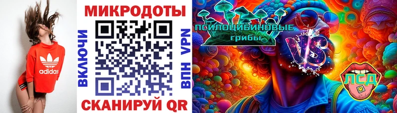 МЕГА tor Майкоп Псилоцибиновые грибы Psilocybine cubensis наркотики