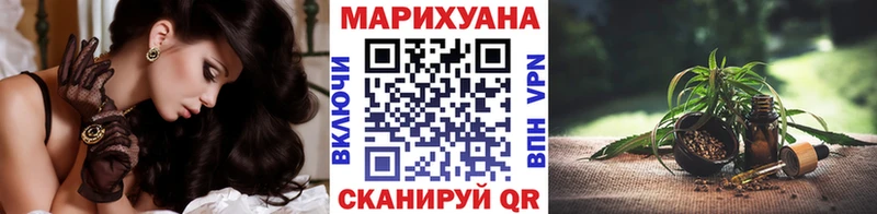 Конопля сатива  Майкоп 